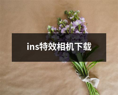 ins特效相机下载